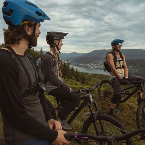Salzburgo: Excursión en bicicleta de montaña por la ciudad y el campo
