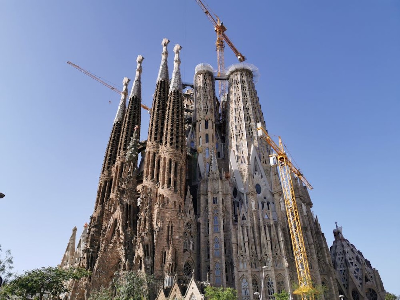 Go With A Local: Skip-The-Line Sagrada Família Tour in Spanish - Accommodations in Barcelona