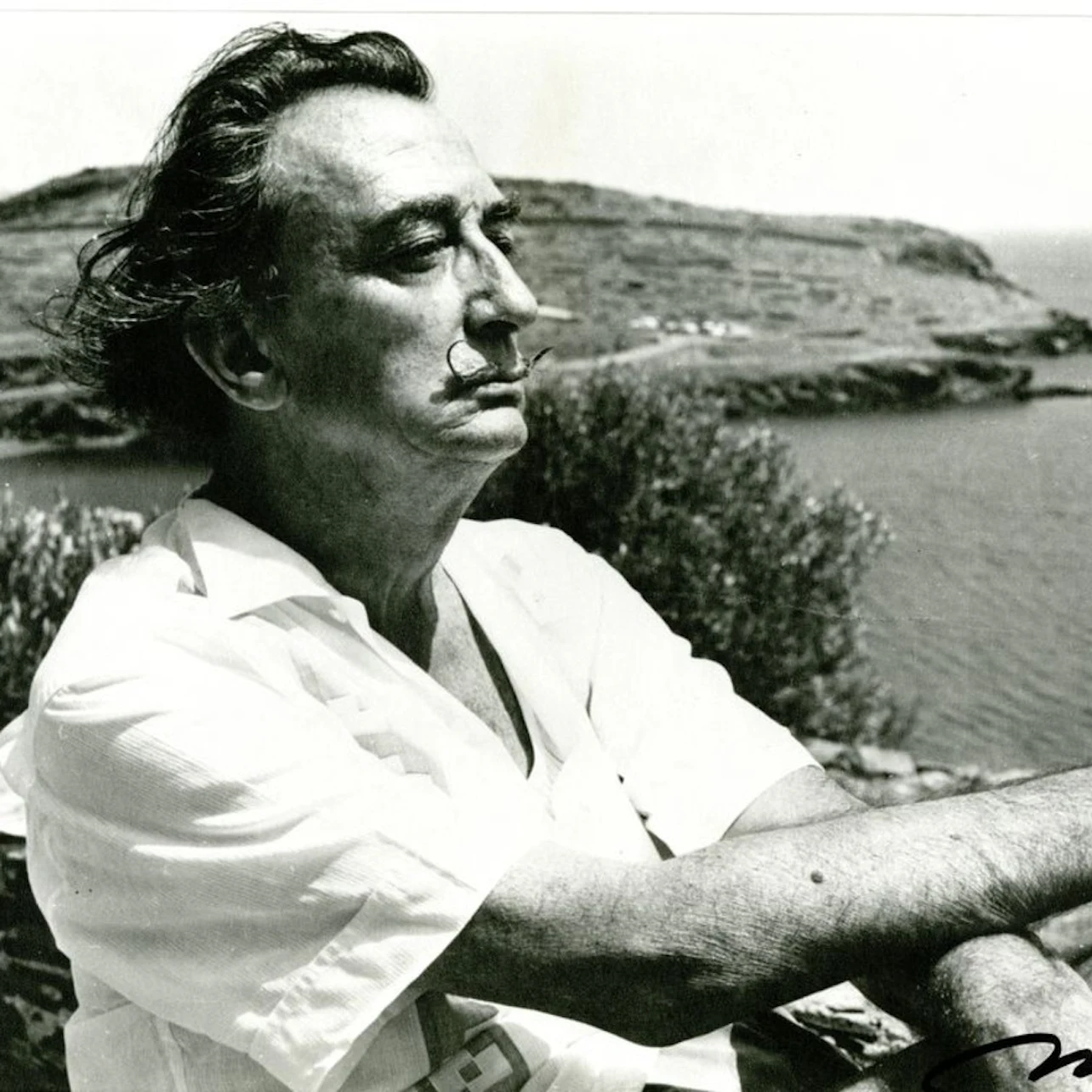The Dalí Museum