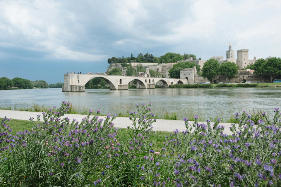 Historic stone bridge spanning a river with greenery and buildings in the background; purple flowers in the foreground.
