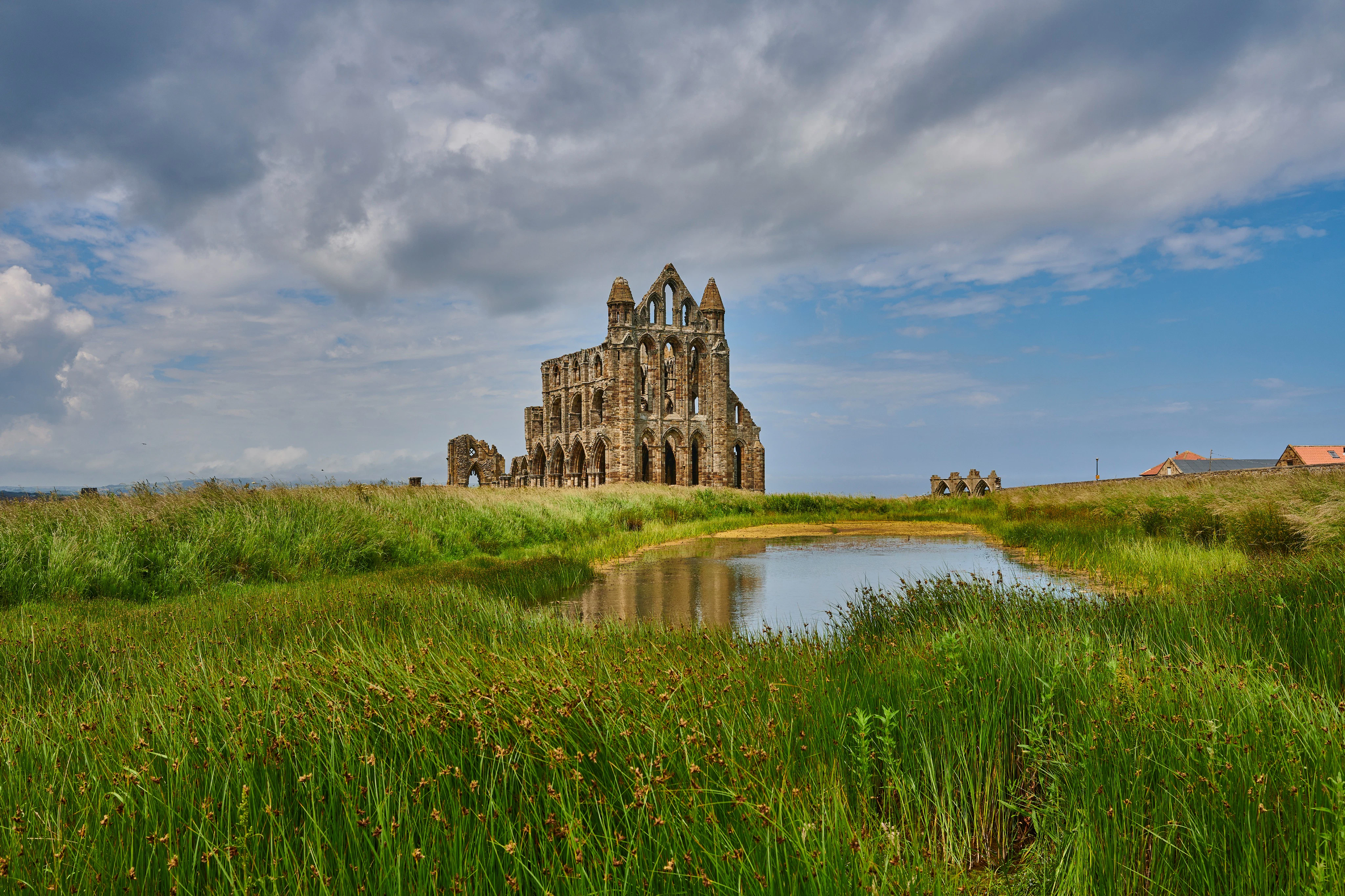 Abadia de Whitby: bilhete de entrada