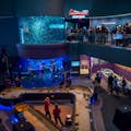 Ripley's Aquarium in Kanada