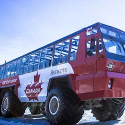 Columbia Icefield: Guided Day Tour from Banff + Skywalk Entry + Lunch 4