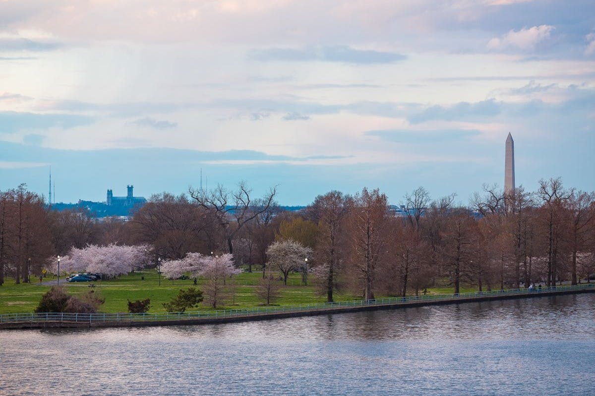シティークルーズ