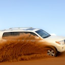 Safari