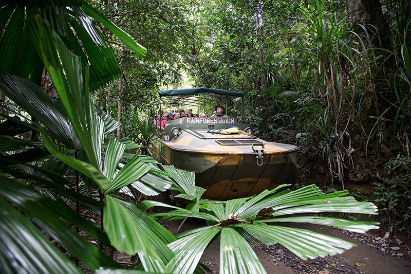 一辆载有乘客的两栖车穿过茂密的绿色雨林树叶。 车辆前部显示“RAINFORESTATION”。