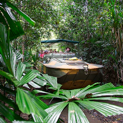Grand Kuranda Day Tour & Transfer from Cairns 2