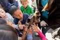Kinder lernen über Mammuts in LA