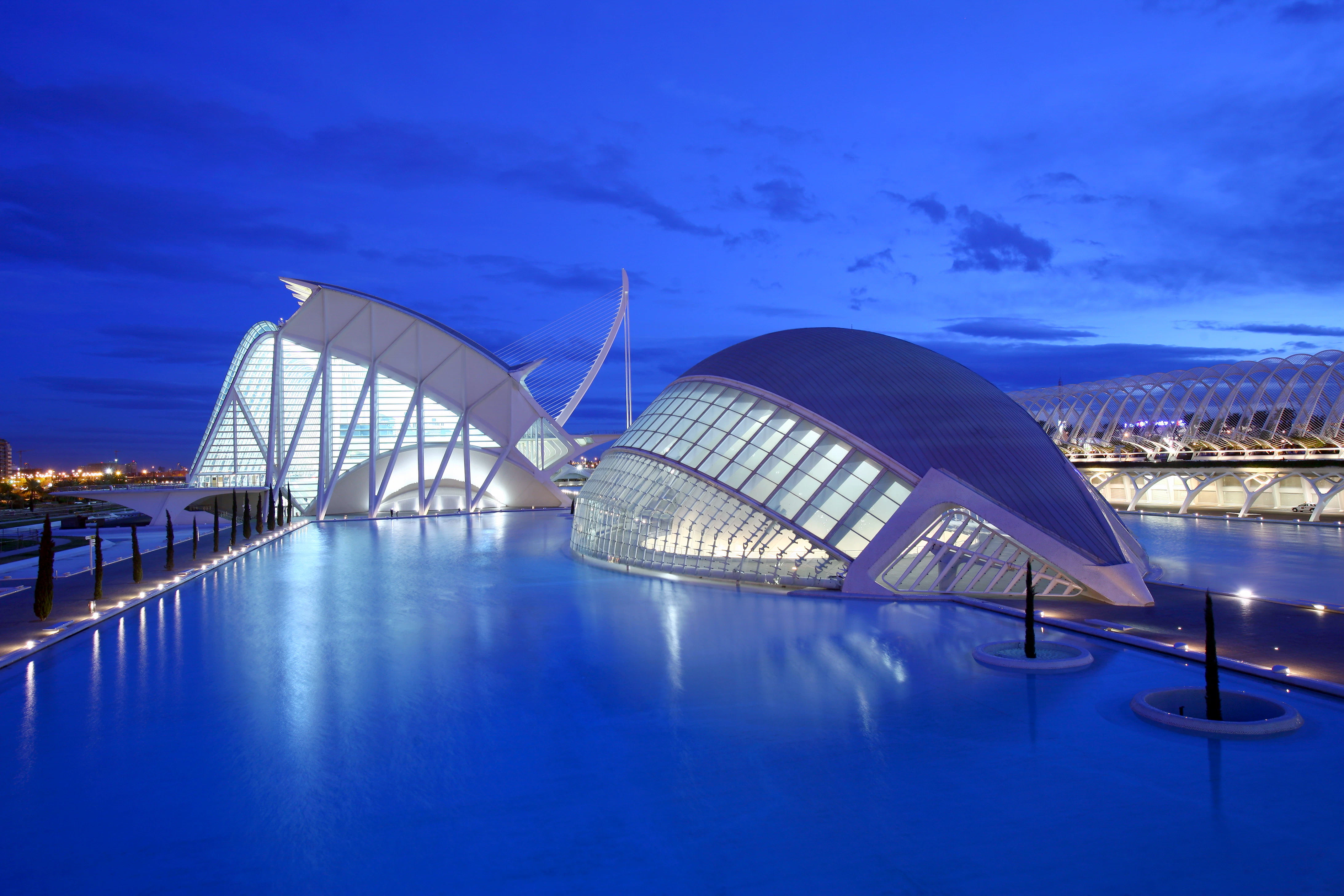 Entradas Ciudad de las Artes y las Ciencias | Valencia