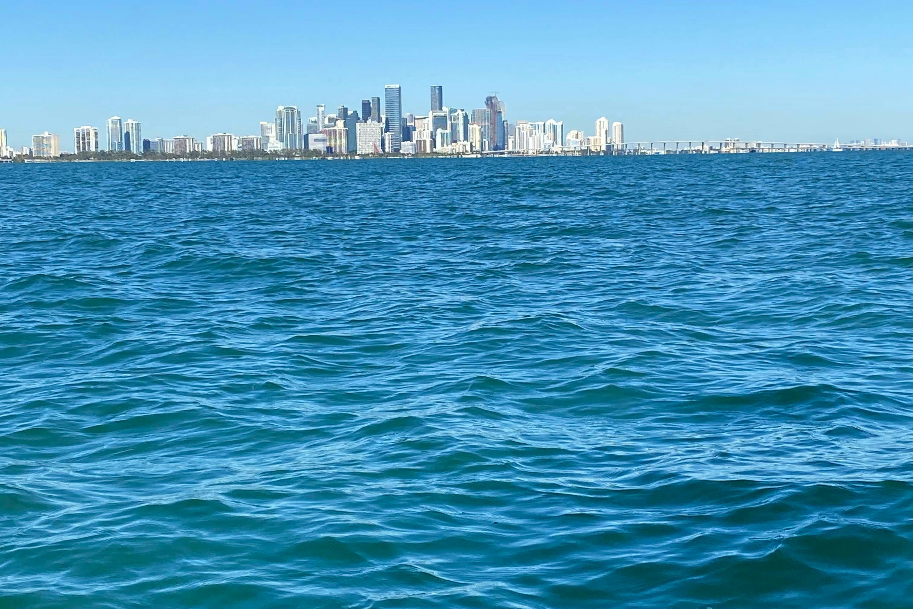 Die Skyline der Stadt Miami, diesen einzigartigen Blick auf die Stadt gibt es nur in der Bucht!