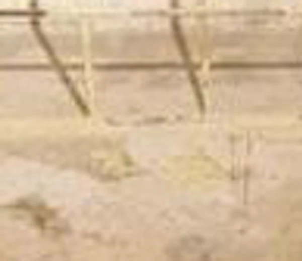 Tallinn KGB gevangenis cellen tickets