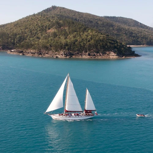 Airlie Beach: Lady Enid Sailing Tour para Whitehaven Beach + Snorkeling - Photo 3