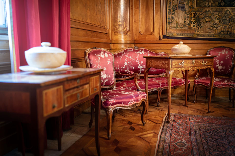 The Ladies' Drawing Room