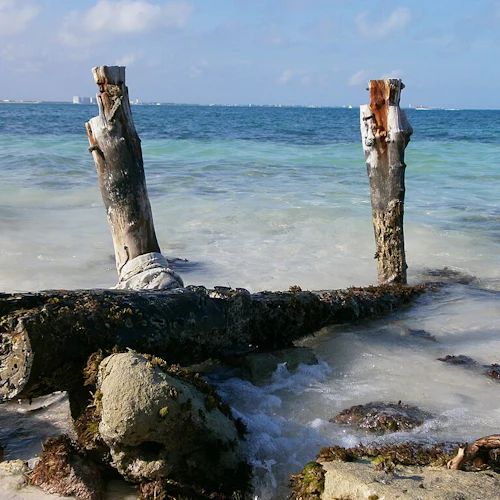 Strandszene mit drei verwitterten Holzpfählen im flachen Wasser, mit Seegras bewachsenen Felsen und fernen Gebäuden am Horizont.