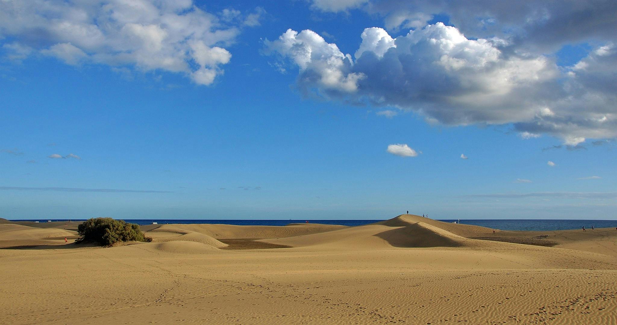 Dune di sabbia dorata con vegetazione rada sotto un cielo blu brillante con nuvole e il mare visibile sullo sfondo.