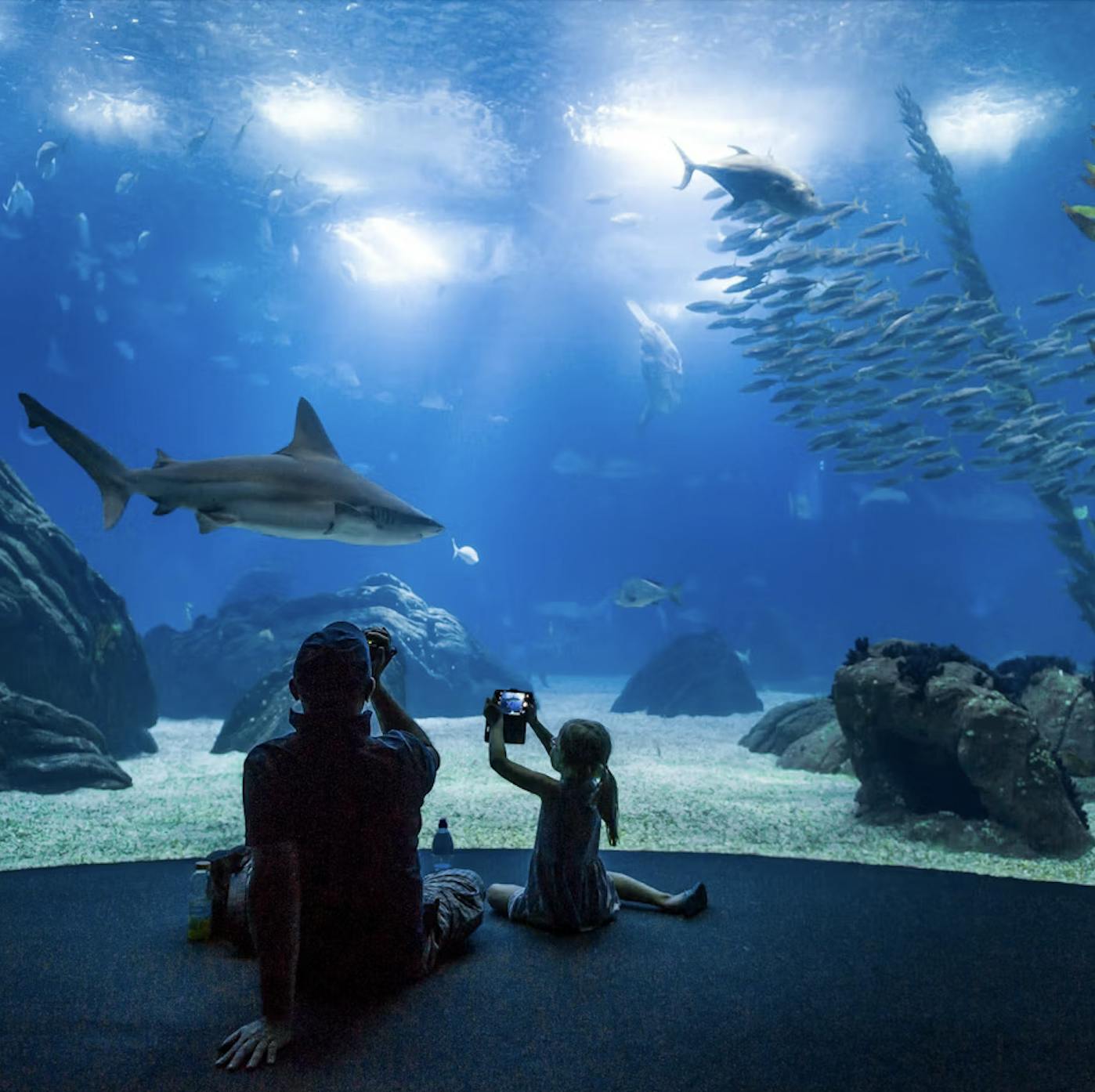 A man and a child sitting and taking pictures of an underwater aquarium scene with a shark and a school of fish.