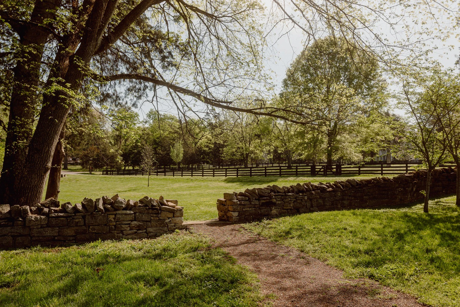 Battle at Belle Meade Tour + Wine Tasting
