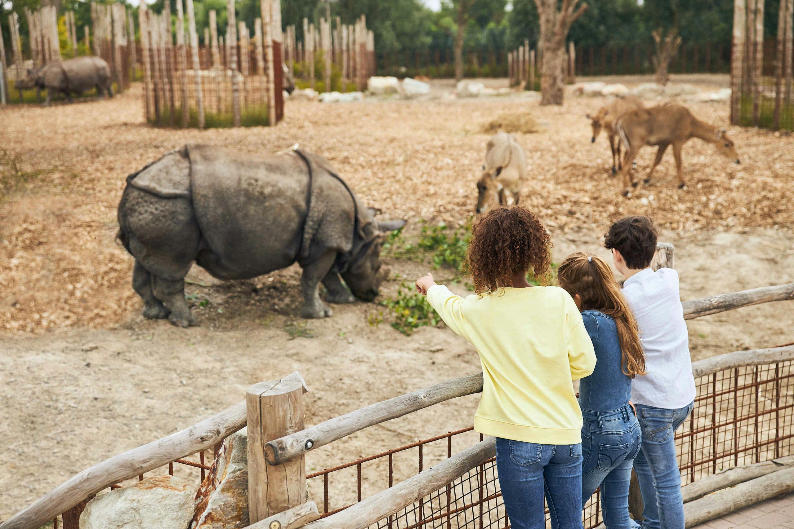 Three people watch a rhinoceros and other animals in a zoo enclosure, separated by a wooden fence.