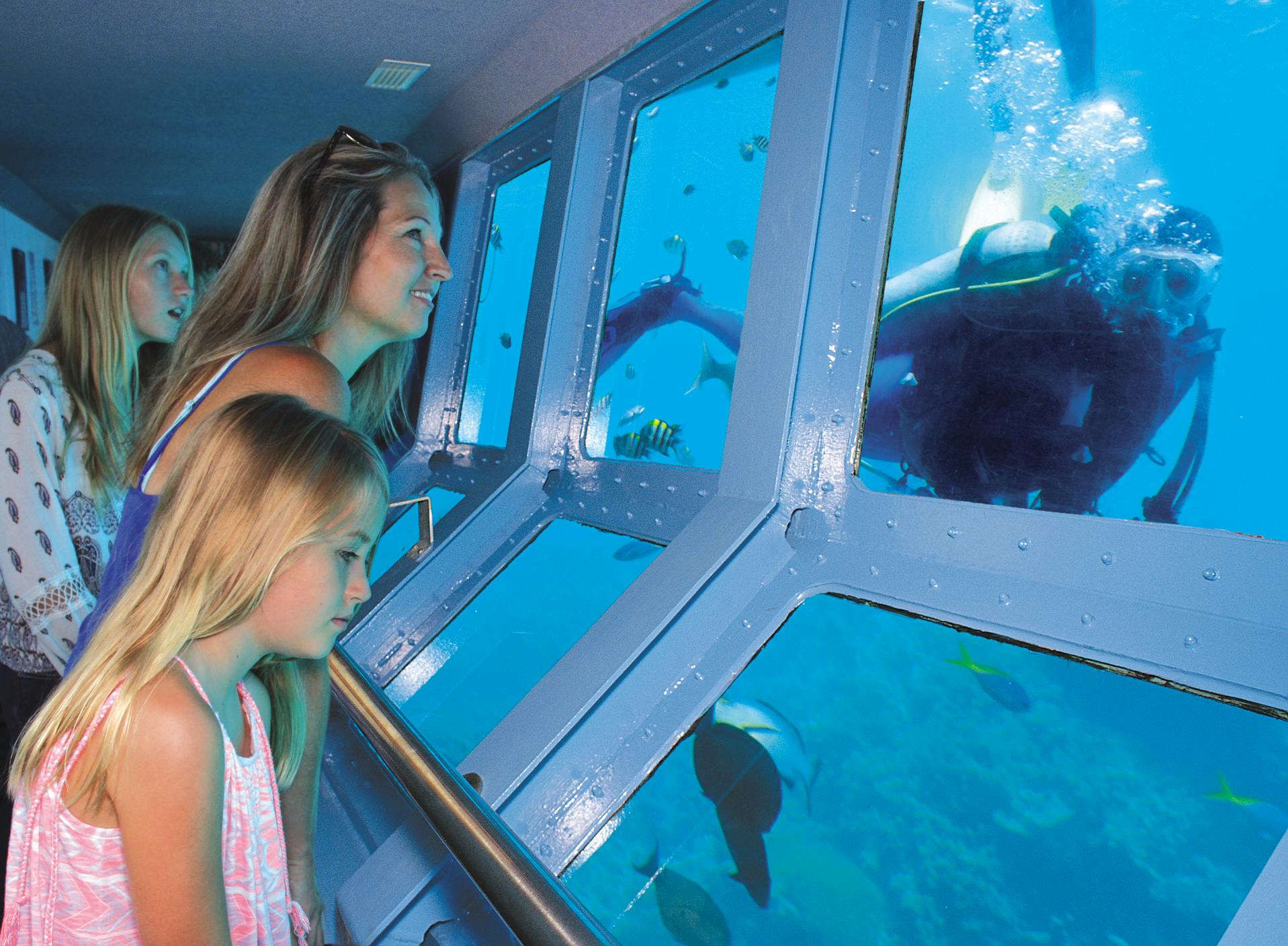 Τρία άτομα, μεταξύ των οποίων δύο παιδιά, παρακολουθούν τη θαλάσσια ζωή μέσα από μεγάλα παράθυρα σε μια υποβρύχια σήραγγα. Έξω είναι ορατά διάφορα ψάρια και ένας καρχαρίας.