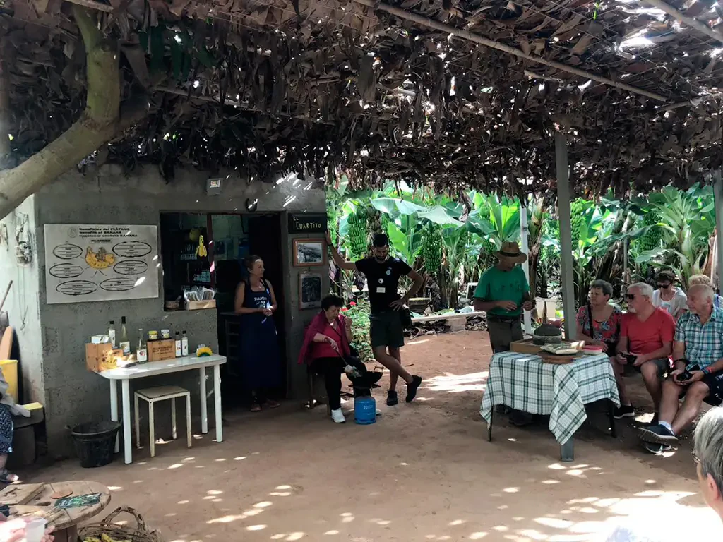 Tenerife: Banana Plantation & Winery Tour + Wine Tasting