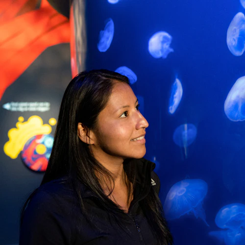 Eine Frau betrachtet Quallen in einem Aquarium, mit einem blau beleuchteten Becken und einer roten Kreatur im Hintergrund.