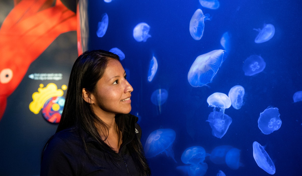 New York Aquarium