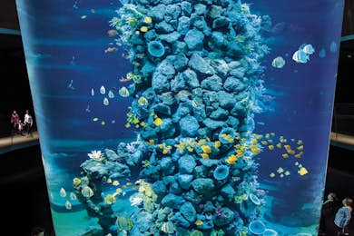 Poema del Mar: Skip The Line Tiqets - Main Image