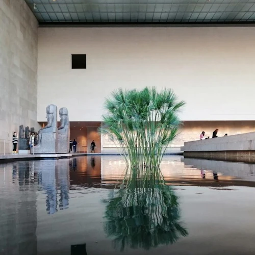 Metropolitan Museum of Art (The Met): tour guiado - Photo 20