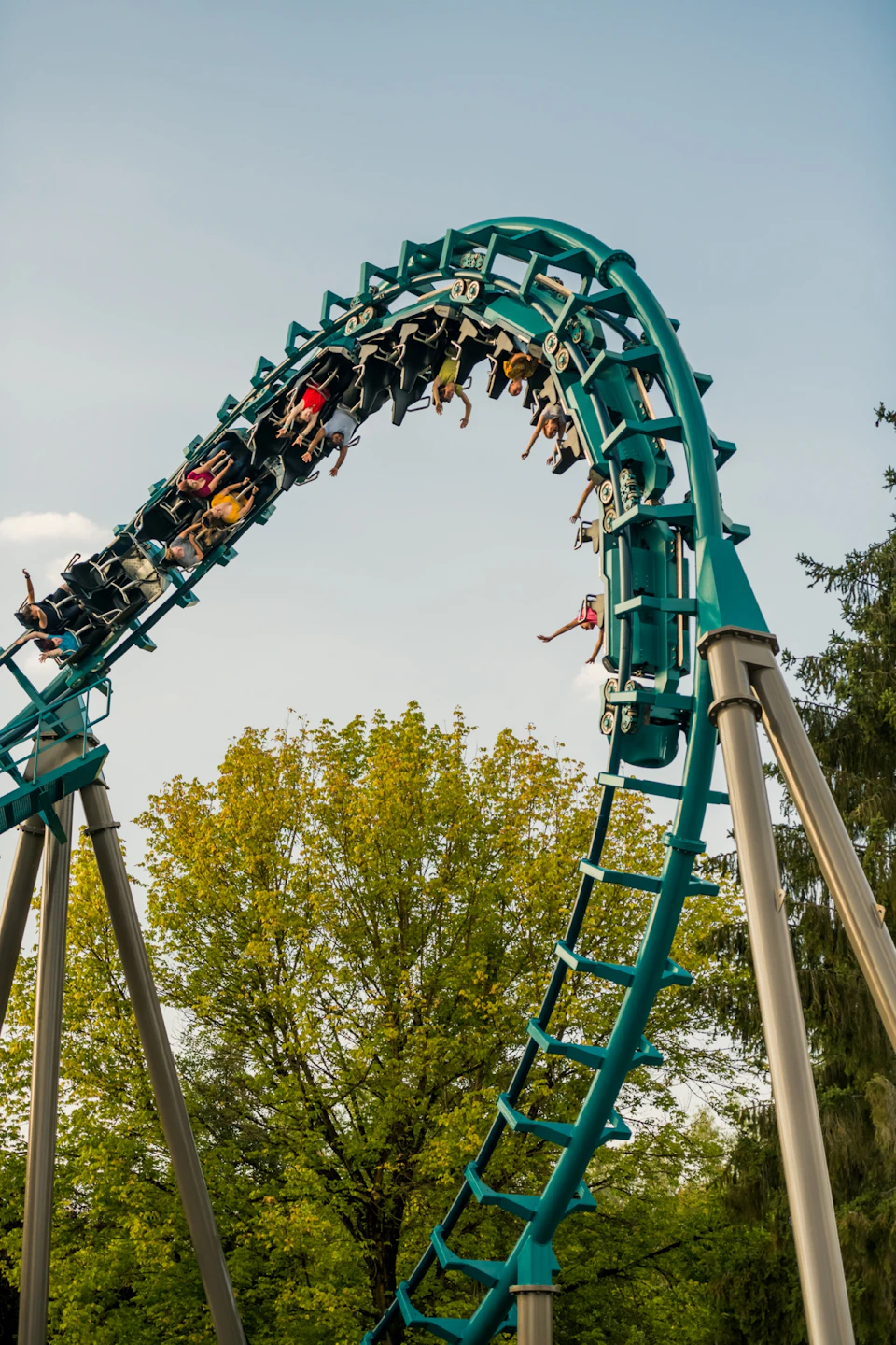 People riding a looping rollercoaster with a teal track against a backdrop of green trees and a clear sky.