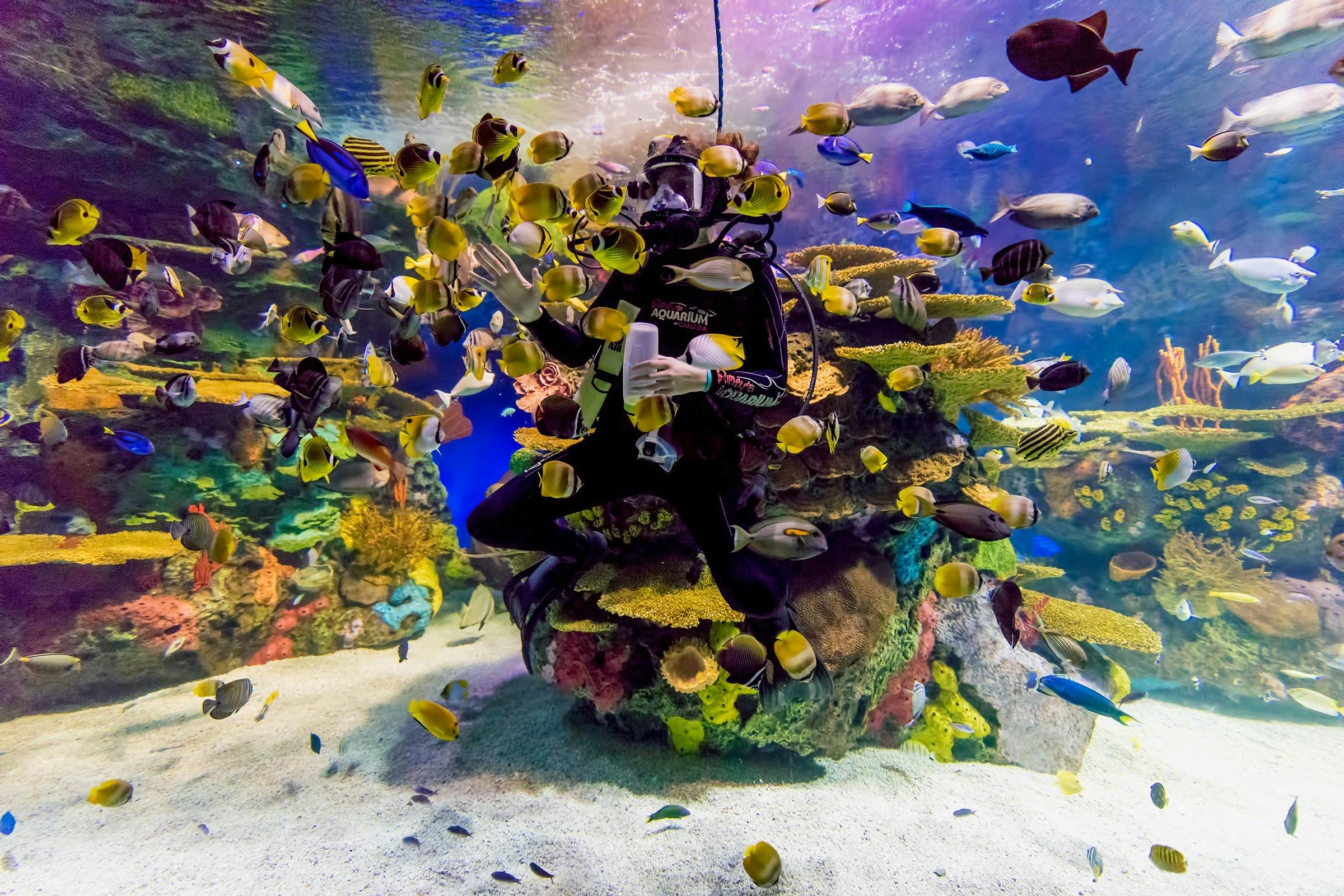 Ripley's Aquarium of Myrtle Beach + 2 Combo Attractions