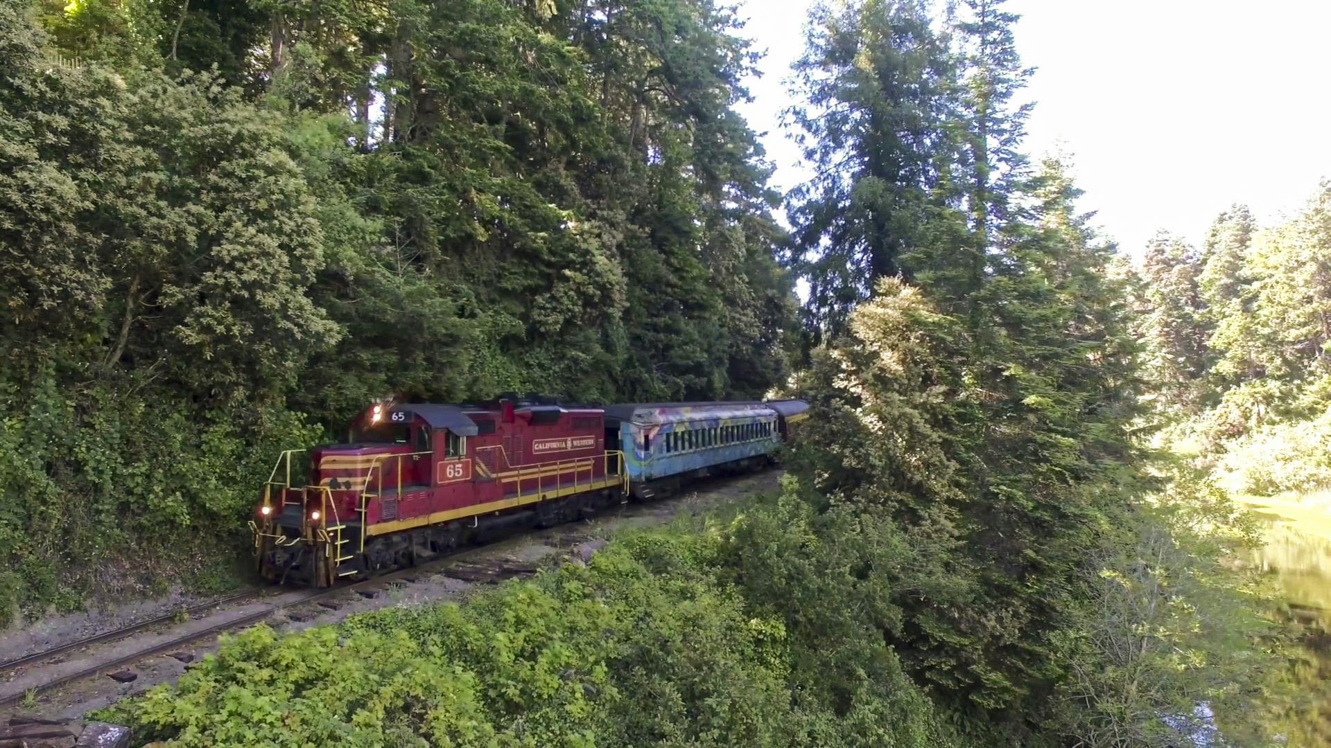 Skunk Train Pudding Creek Express