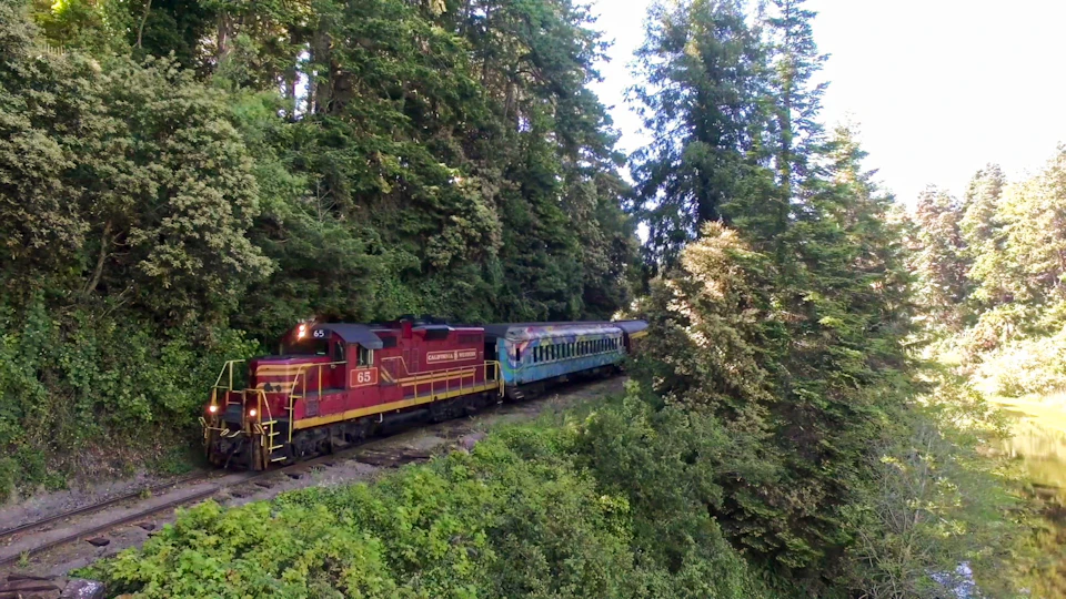 A red and yellow train travels through a lush, forested area with tall trees and dense greenery.