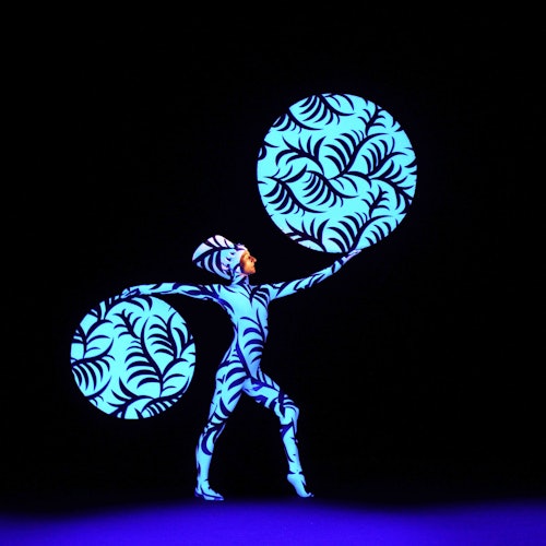 Tour Image 2