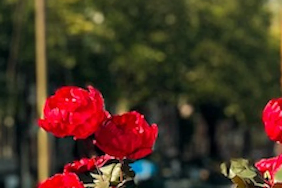 A person stands by a decorated bicycle with flowers and holds a colorful illustration outdoors near a canal.