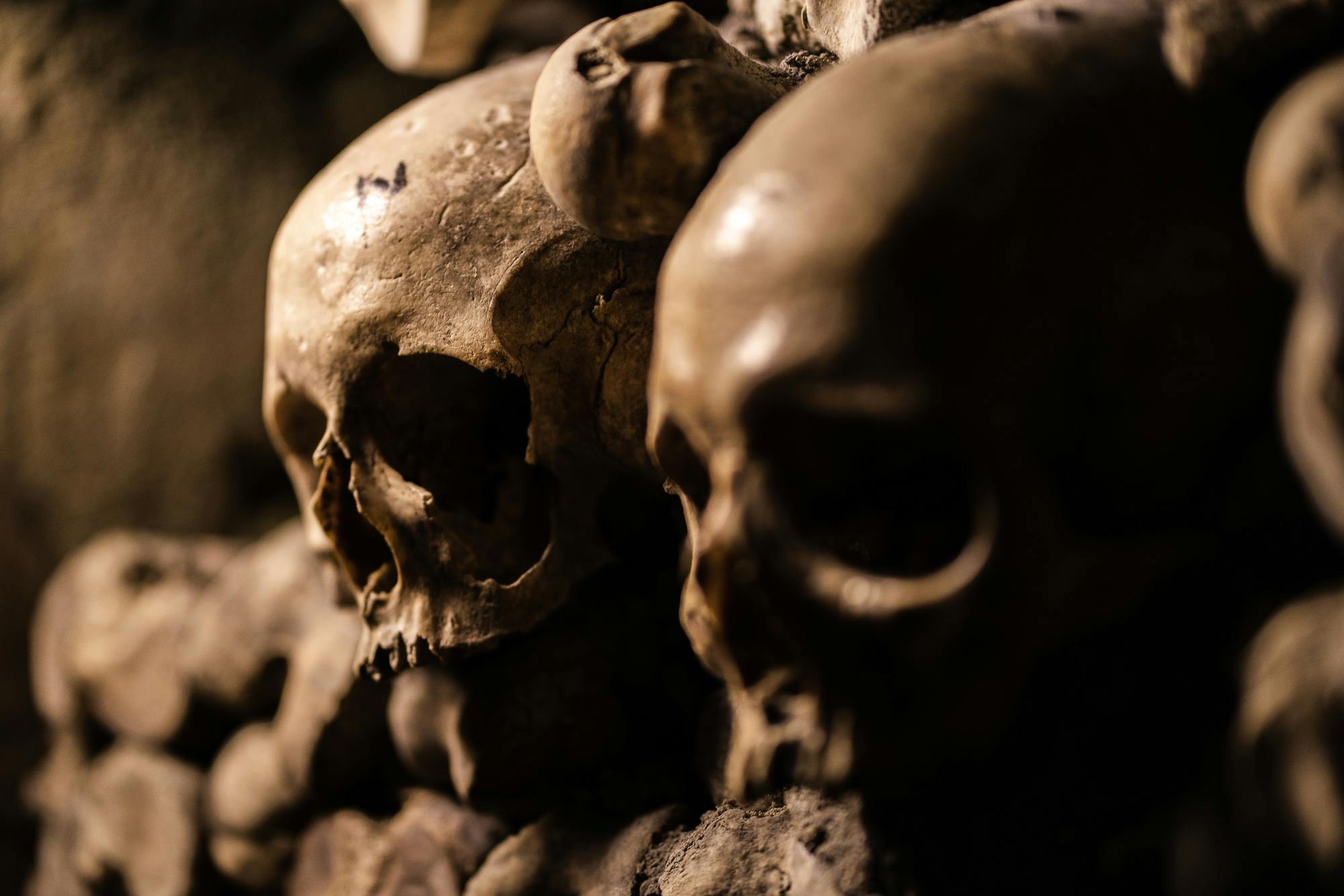 Close-up of several human skulls stacked together, with visible details of bone texture and hollow eye sockets.