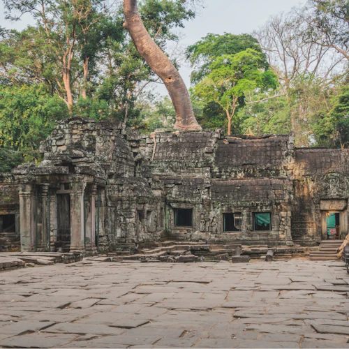 Angkor Wat: Full Day Guided Tour - Photo 6