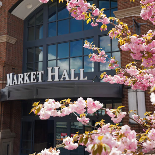 Woodbury Common Premium Outlets: Tour de compras saindo de Manhattan - Photo 2