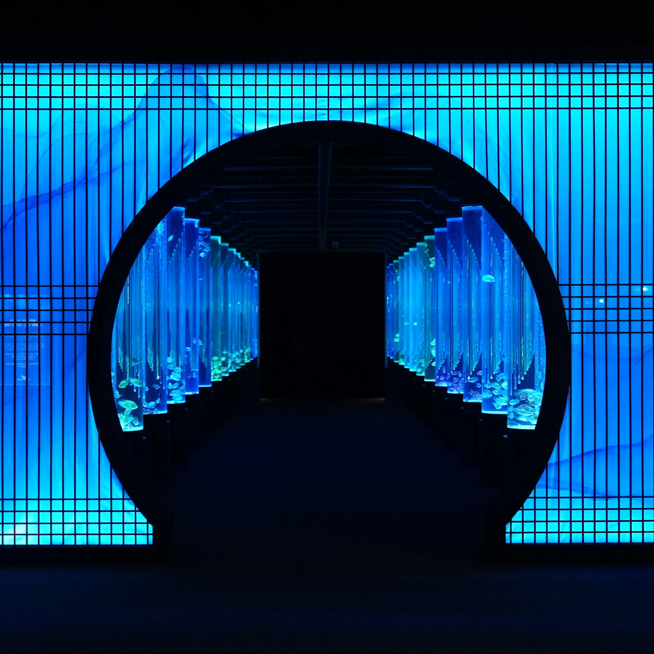 Lotte World Aquarium: Entry Ticket in Seoul β Tiqets