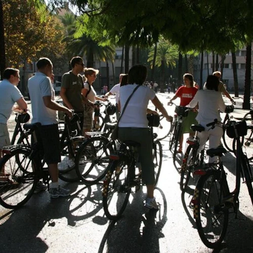 Barcelona: Highlights Bike Tour in English - Photo 4