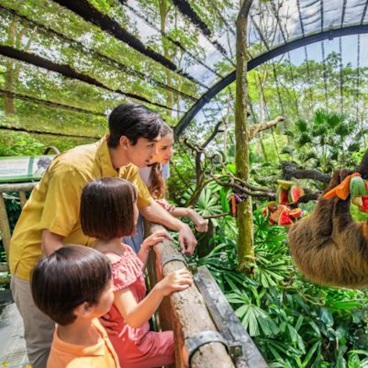 Singapore Zoo: Entry Ticket in Singapore β Tiqets