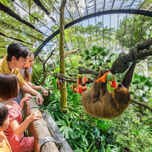 Zoo de Singapur