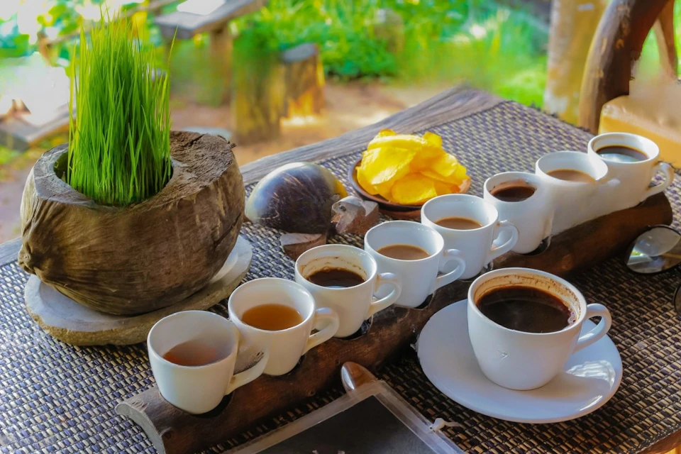Tasting coffee at a coffee plantation