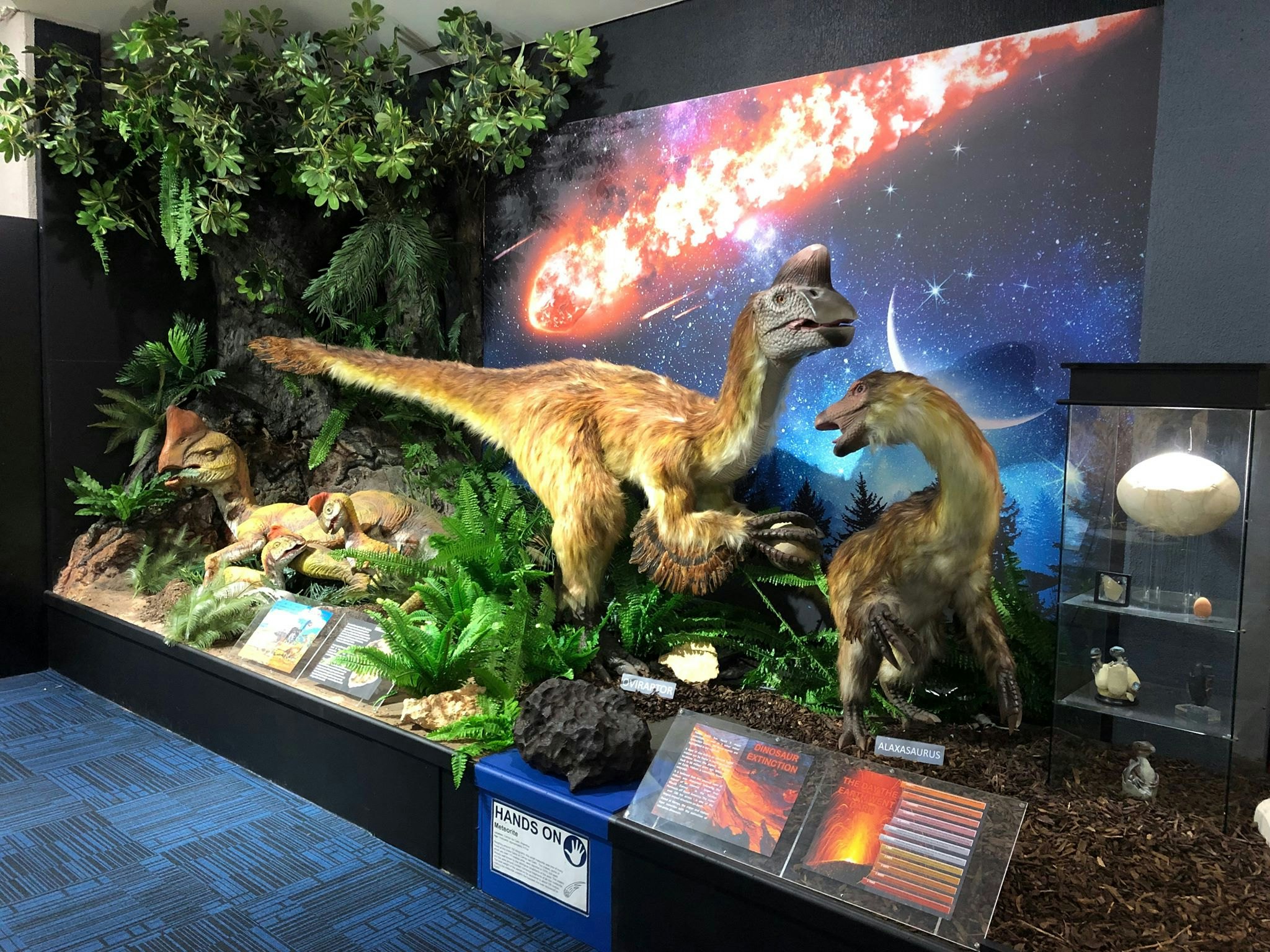 Entradas Museo Nacional de Dinosaurios Nicholls