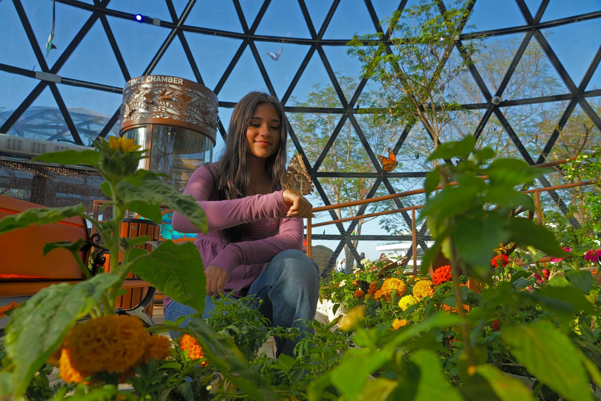 Los Jardines de Mariposas y el Acuario Nacional de Abu Dhabi: Entrada - Photo 7