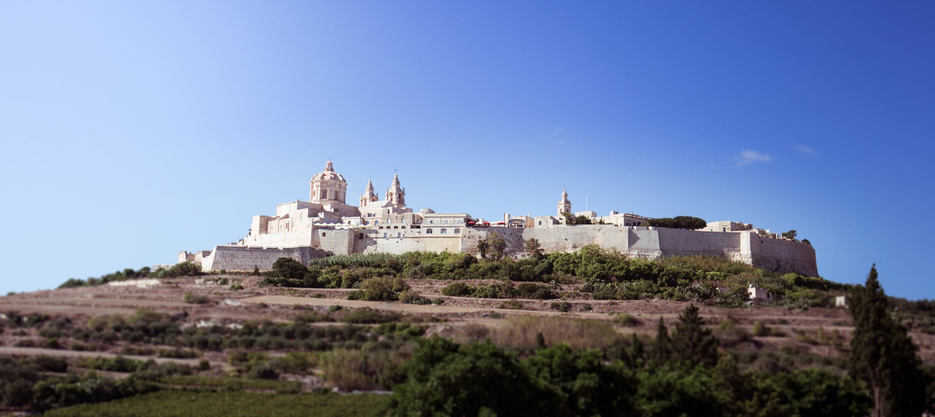 Mdina Tour Privato a Piedi — 2