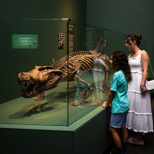 Queensland Museum Kurilpa: Croc! Lost Giants to Living Legends Exhibition Entry - Photo 6