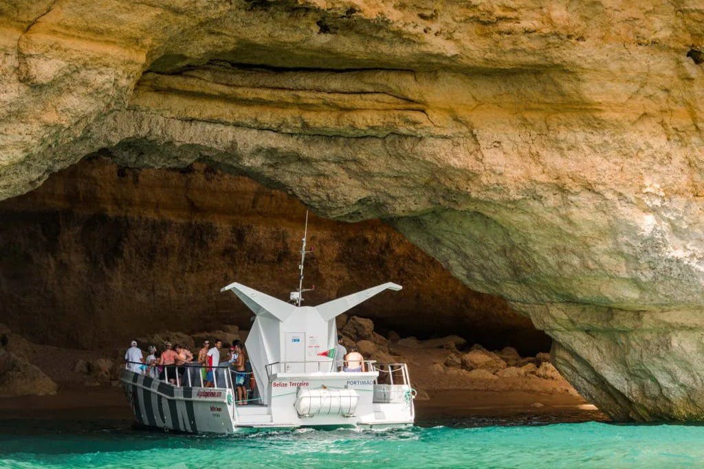 イルカとカタマラン