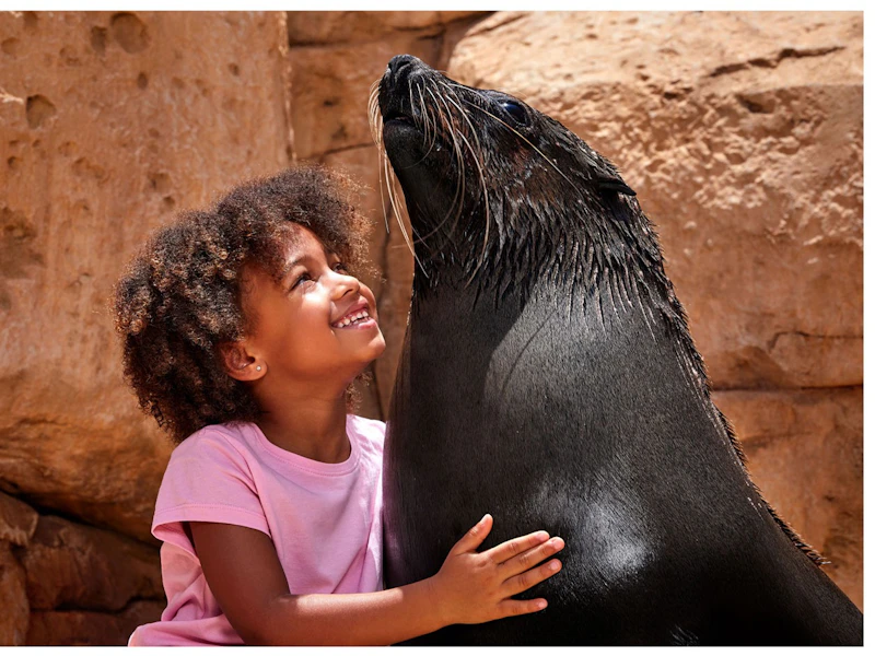 Aquaventure World: Waterpark Day Pass + Sea Lion Experience