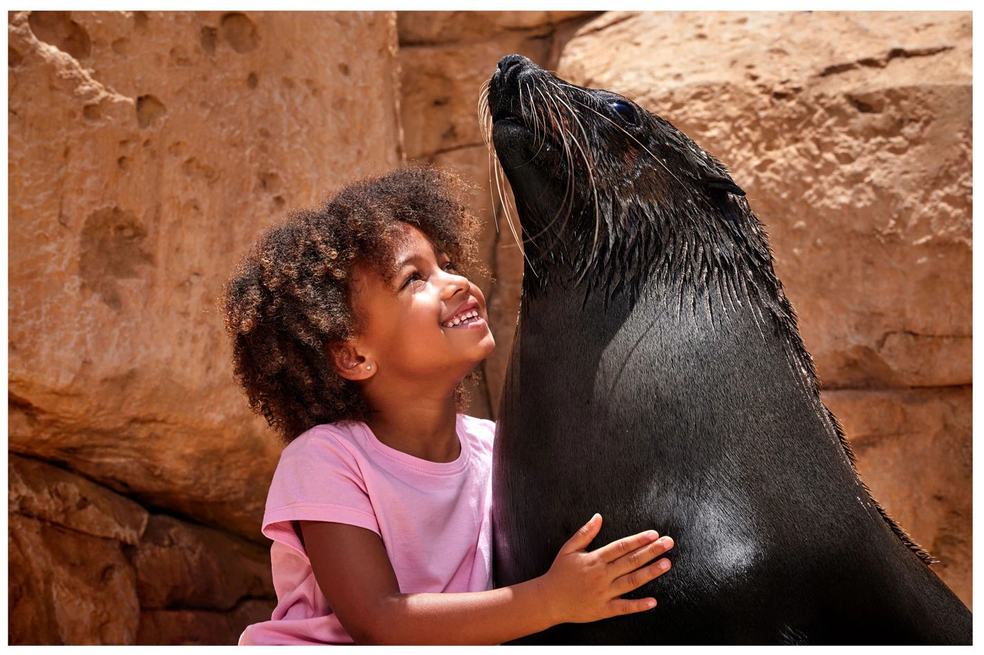 Aquaventure World: Waterpark Day Pass + Sea Lion Experience
