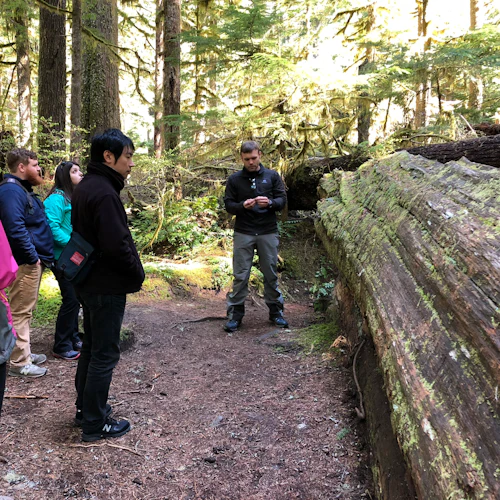 Mt. Rainier: All-Inclusive Small-Group Day Trip from Seattle - Photo 2
